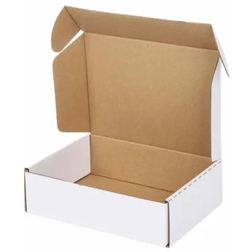 Shipping Box - A3 Mailer White